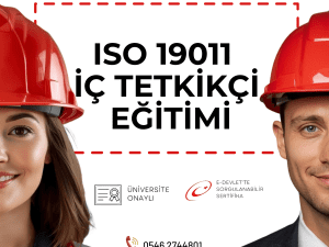 IC-TETKIKCI.png