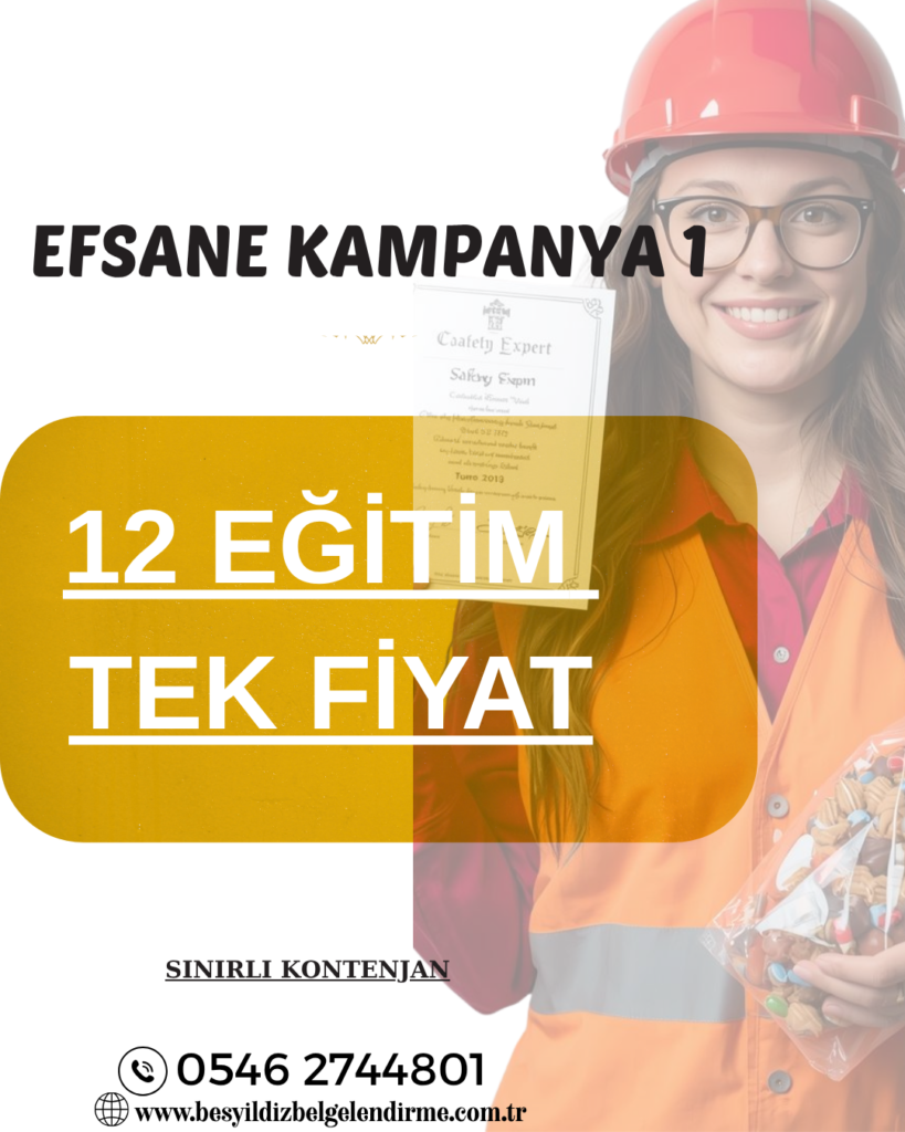 12 EĞİTİM TEK FİYAT